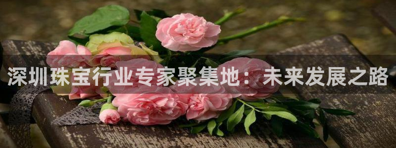皇冠新宝5