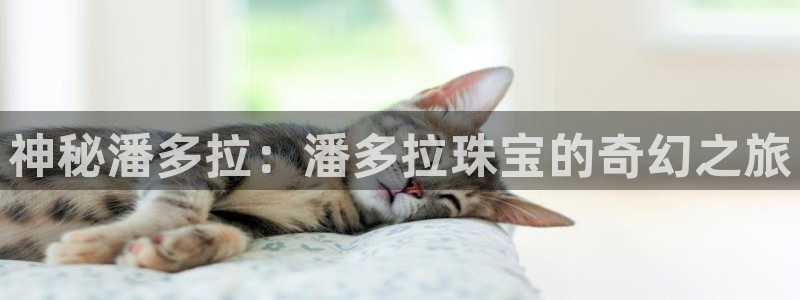 新宝5彩票是正规平台吗