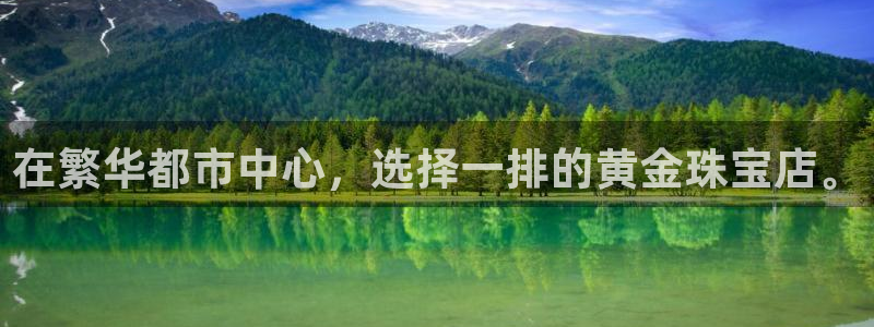 新宝5登录入口网址