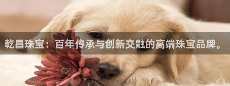 新宝5测试：乾昌珠宝：百年传承与创新交融的高端珠宝品牌。
