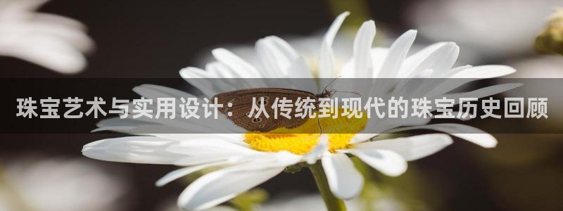 新宝5官网67五壹叁八：珠宝艺术与实用设计：从传统到现代的珠宝历史回顾