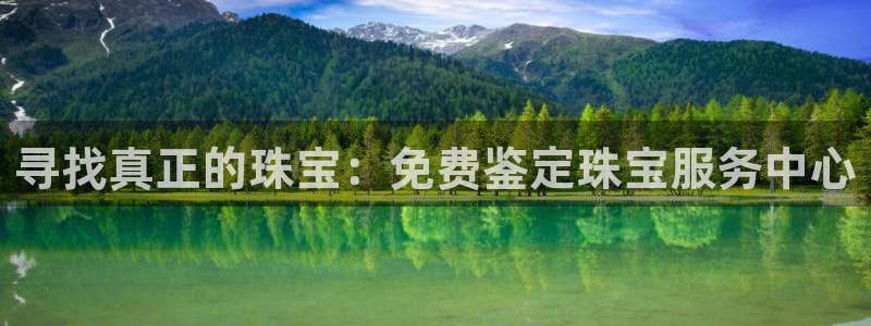 新宝堂新会陈皮5年：寻找真正的珠宝：免费鉴定珠宝服务中心