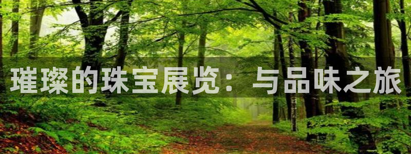 新宝5娱乐招商：璀璨的珠宝展览：与品味之旅