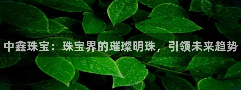 新宝新5：中鑫珠宝：珠宝界的璀璨明珠，引领未来趋势