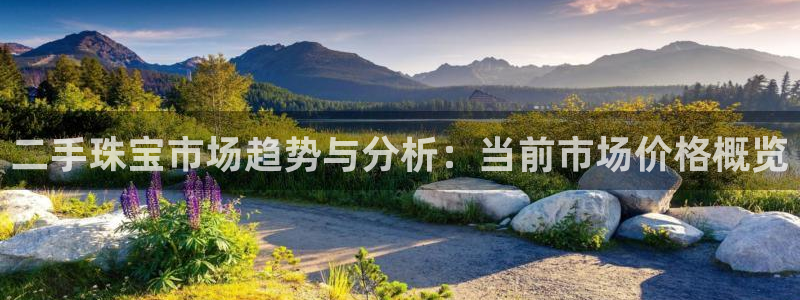 新宝5电脑：二手珠宝市场趋势与分析：当前市场价格概览