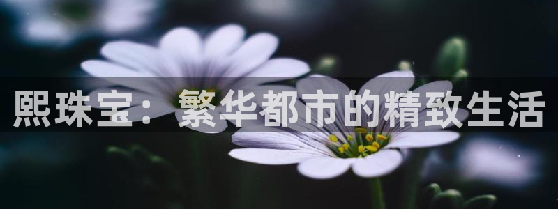 新宝5注册流程：熙珠宝：繁华都市的精致生活