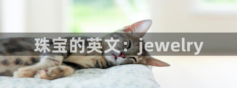 新宝5娱乐学：珠宝的英文：jewelry