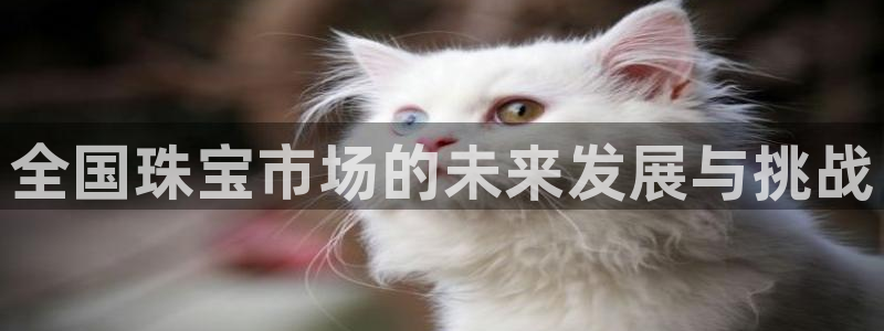 新宝5上70 667：全国珠宝市场的未来发展与挑战