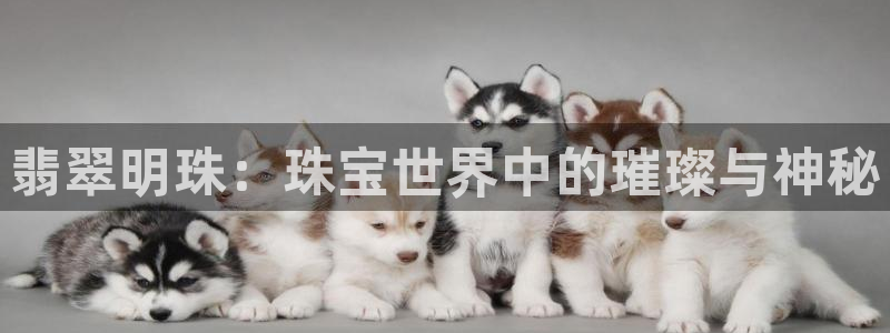 新宝5安卓版：翡翠明珠：珠宝世界中的璀璨与神秘