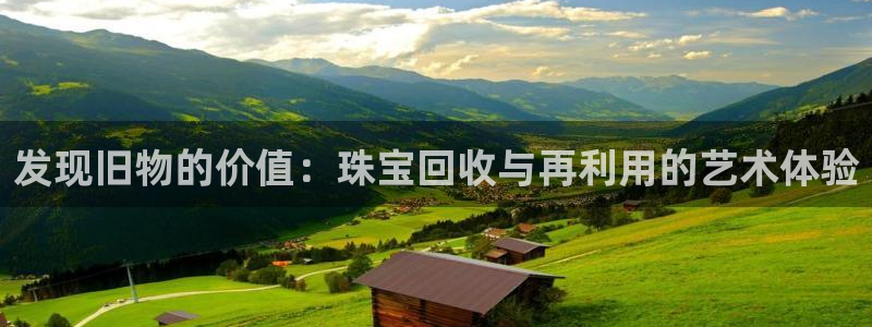 新宝新5：发现旧物的价值：珠宝回收与再利用的艺术体验