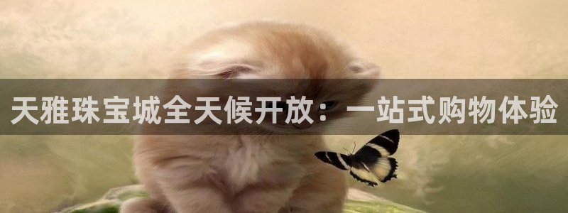 新宝5黑：天雅珠宝城全天候开放：一站式购物体验