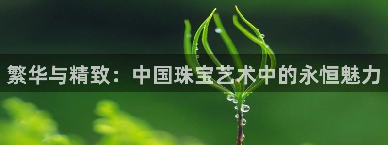新宝5平台注册资金：繁华与精致：中国珠宝艺术中的永恒魅力