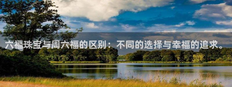 新宝G5：六福珠宝与周六福的区别：不同的选择与幸福的追求。