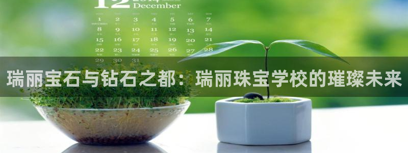 新宝5如何注册登录：瑞丽宝石与钻石之都：瑞丽珠宝学校的璀璨未来