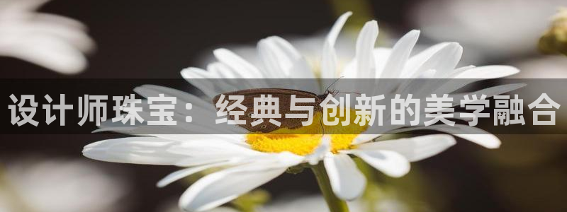 新宝5娱乐同：设计师珠宝：经典与创新的美学融合