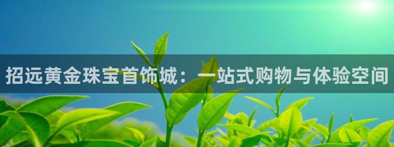 新宝5授权：招远黄金珠宝首饰城：一站式购物与体验空间