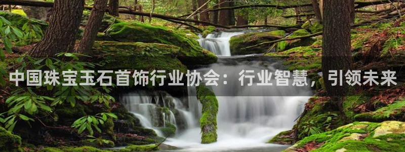 新宝堂新会陈皮5年：中国珠宝玉石首饰行业协会：行业智慧，引领未来