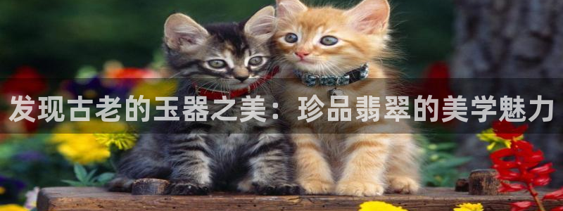 新宝5娱乐多：发现古老的玉器之美：珍品翡翠的美学魅力