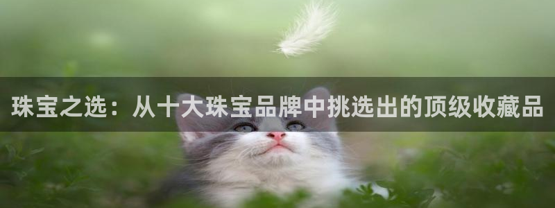 新宝5的网址：珠宝之选：从十大珠宝品牌中挑选出的顶级收藏品