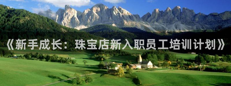 新宝5娱乐方：《新手成长：珠宝店新入职员工培训计划》