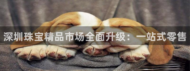 新宝骏rc5W：深圳珠宝精品市场全面升级：一站式零售