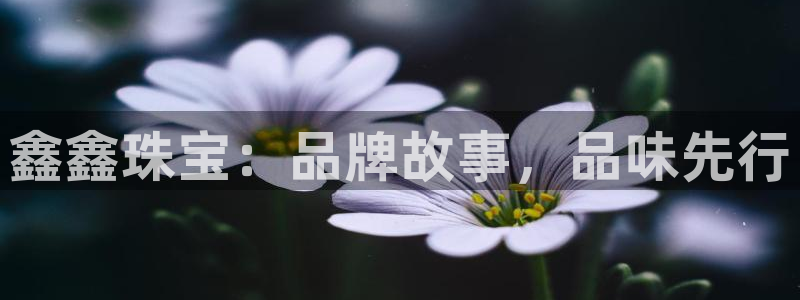 新宝5app：鑫鑫珠宝：品牌故事，品味先行