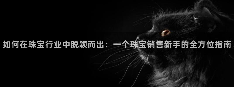 新宝5彩票是正规平台吗：如何在珠宝行业中脱颖而出：一个珠宝销售新手的全方位指南