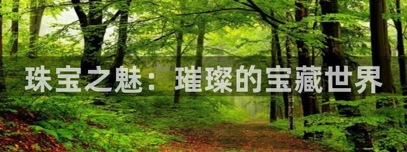 新宝5娱乐代理：珠宝之魅：璀璨的宝藏世界