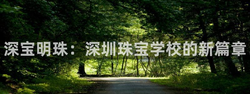 新宝xb5：深宝明珠：深圳珠宝学校的新篇章