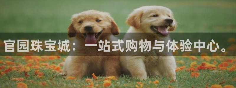 新宝5下载软件：官园珠宝城：一站式购物与体验中心。