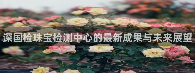新宝5登录：深国检珠宝检测中心的最新成果与未来展望
