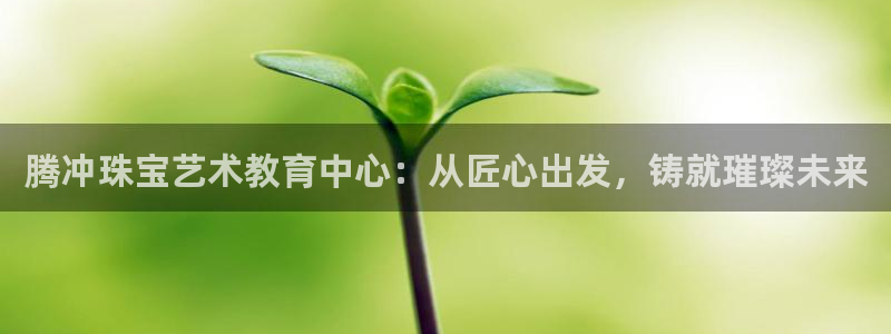 下载新宝5：腾冲珠宝艺术教育中心：从匠心出发，铸就璀璨未来