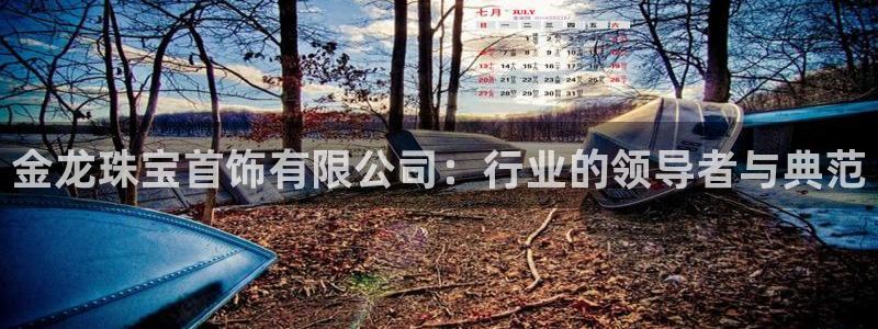 新宝5挂机：金龙珠宝首饰有限公司：行业的领导者与典范