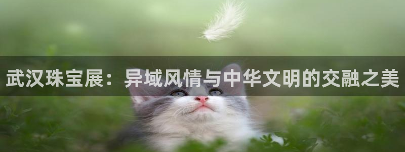 新宝5平台登录：武汉珠宝展：异域风情与中华文明的交融之美