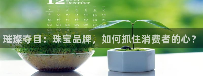 新宝5郑74OOO5：璀璨夺目：珠宝品牌，如何抓住消费者的心？