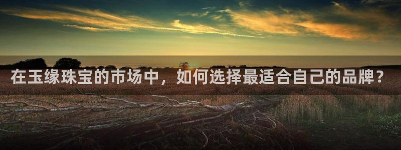 新宝5官网平台：在玉缘珠宝的市场中，如何选择最适合自己的品牌？