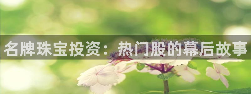 新宝5浗维33 300：名牌珠宝投资：热门股的幕后故事