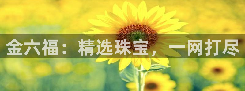 新宝5是什么：金六福：精选珠宝，一网打尽