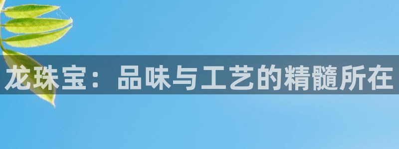 新宝5X：龙珠宝：品味与工艺的精髓所在