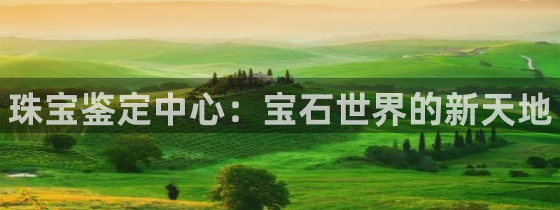 新宝5娱乐登陆：珠宝鉴定中心：宝石世界的新天地