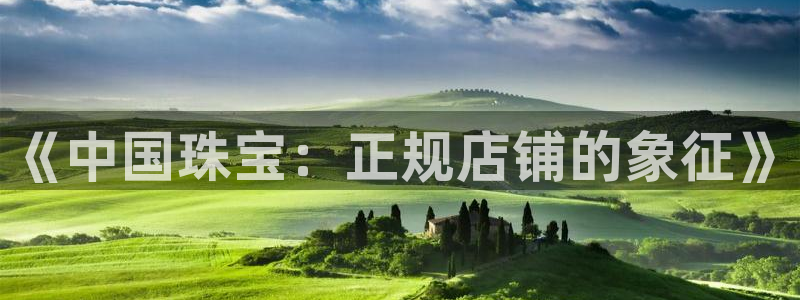 新宝5公司：《中国珠宝：正规店铺的象征》