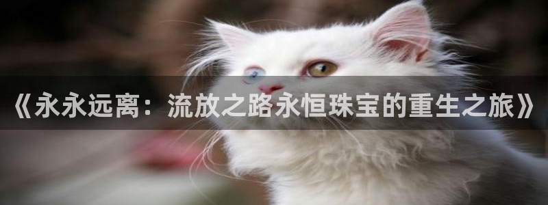 新宝5登陆地址：《永永远离：流放之路永恒珠宝的重生之旅》