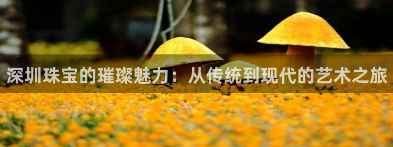 新宝5平台登陆：深圳珠宝的璀璨魅力：从传统到现代的艺术之旅