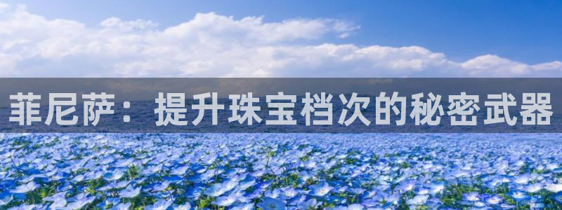 新宝5官网霸：菲尼萨：提升珠宝档次的秘密武器