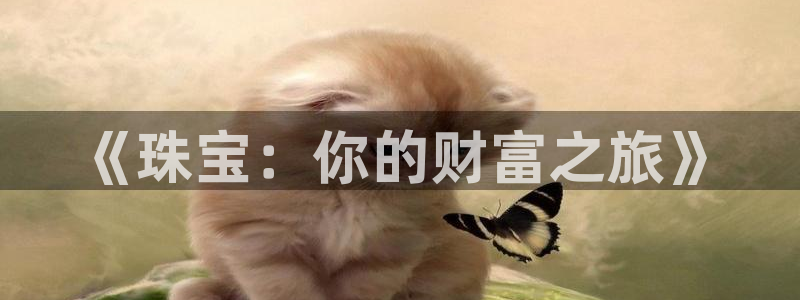 新宝5公司：《珠宝：你的财富之旅》