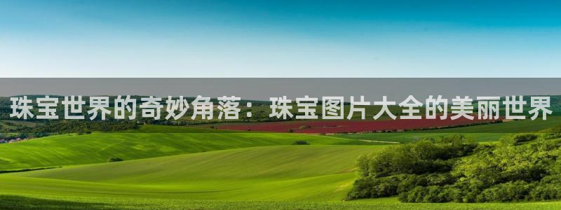 新宝5 888：珠宝世界的奇妙角落：珠宝图片大全的美丽世界