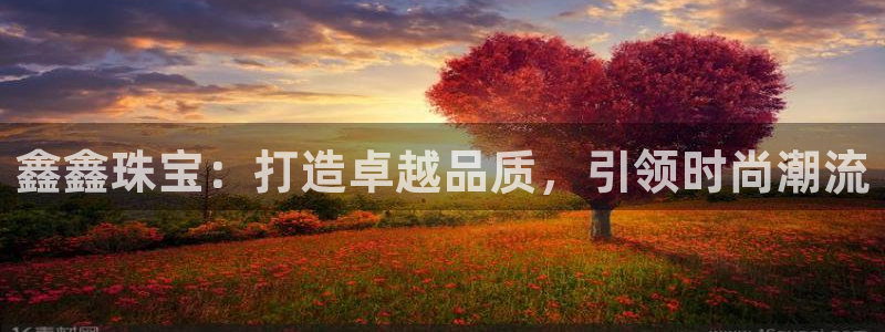 新宝5网：鑫鑫珠宝：打造卓越品质，引领时尚潮流