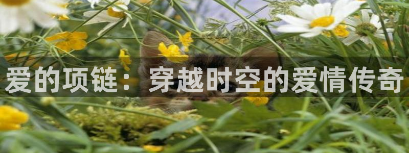 新宝5线路登录检测：爱的项链：穿越时空的爱情传奇