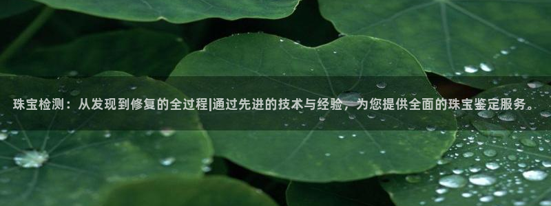 新宝5下载app：珠宝检测：从发现到修复的全过程|通过先进的技术与经验，为您提供