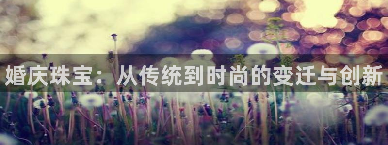 新宝股东瞧听2 5 5：婚庆珠宝：从传统到时尚的变迁与创新